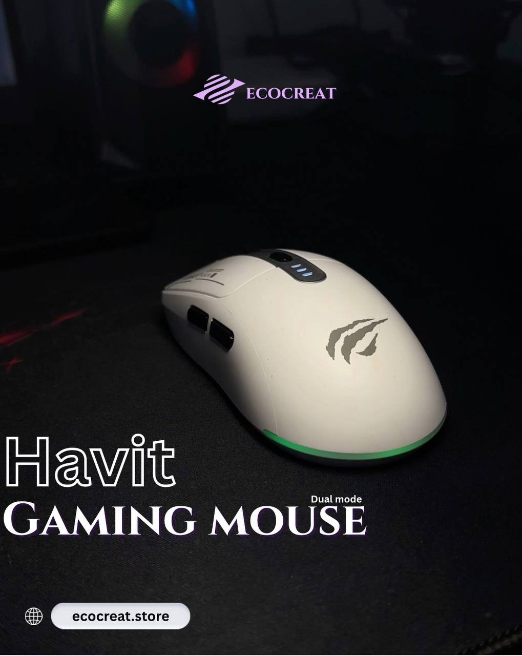 photo_1_2025-09-22_15-04-37